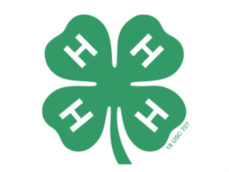 Fair Logo